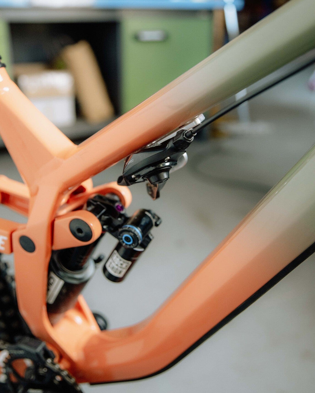 Halteplatte für Schaltwerk The Motion Brand Lukas Knopf Platte